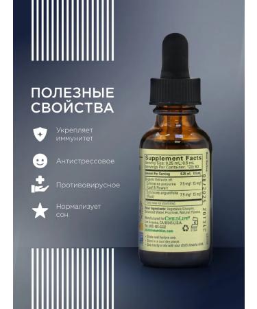 Child Life Echinacea for children for immunity and from colds - Buy Online on GoSupps.com