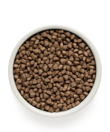 Grandorf lamb with a turkey for home cats 8kg - Buy Online on GoSupps.com