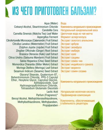 Vitex Cleaning oily hair shampoo and Balm Rinoster - Buy Online on GoSupps.com