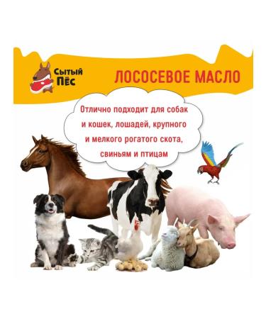 Olonetsky fish oil Veterinary salmon 5 l well -fed dog - Buy Online on GoSupps.com