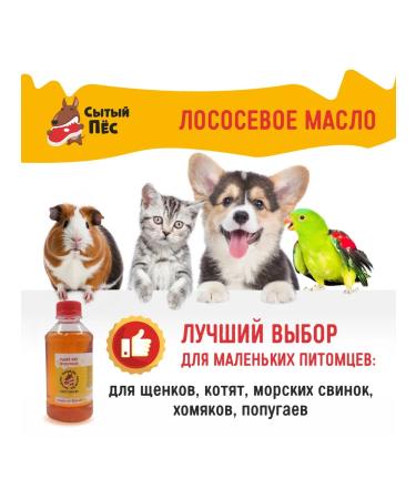 Olonetsky fish oil Veterinary salmon 1 l well -fed dog - Buy Online on GoSupps.com