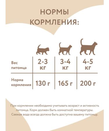 Mnyams Wet food for cats "Pastee in Oxford" 100 g * 7 pcs - Buy Online on GoSupps.com