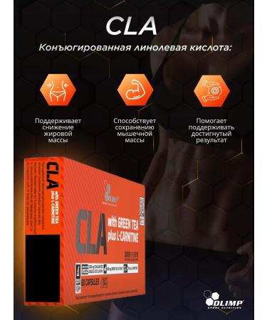Olimp Sport Nutrition Cla with green tea + L-carnitine 60 caps - Buy Online on GoSupps.com