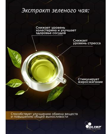 Olimp Sport Nutrition Cla with green tea + L-carnitine 60 caps - Buy Online on GoSupps.com