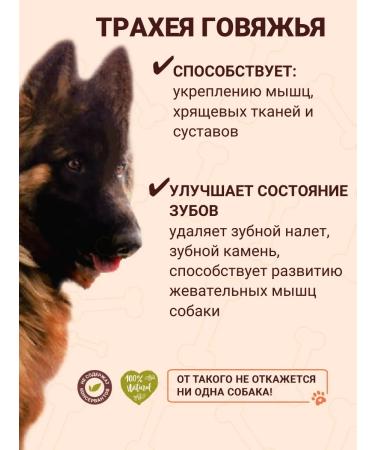 REX Trachea of beef slicing ring 100g - Buy Online on GoSupps.com