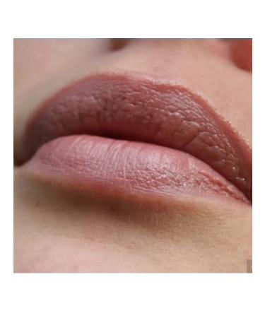 L'Oreal 56ka Lipstick Balm-Gable of Lip Caresse 503 Seductive Beige - Buy Online on GoSupps.com