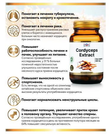 Energy Bio Systems Cordyceps capsule 500 - Buy Online on GoSupps.com