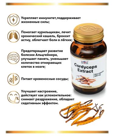 Energy Bio Systems Cordyceps capsule 500 - Buy Online on GoSupps.com