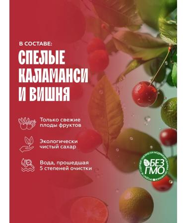 The Flip The basis for drinks concentrate Vishnya-Kalamansi 1kg - Buy Online on GoSupps.com