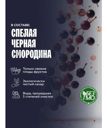 The Flip Basics for drinks concentrate black currants Sagan 1kg - Buy Online on GoSupps.com