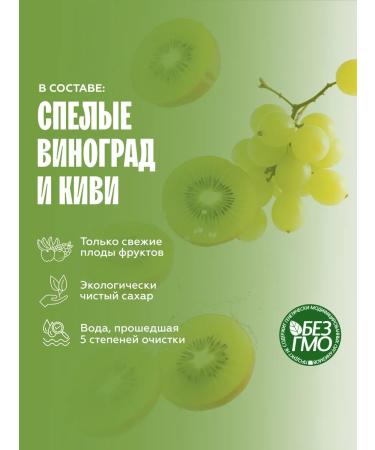 The Flip Basics for drinks concentrate puree kivi-vinograd 1kg - Buy Online on GoSupps.com