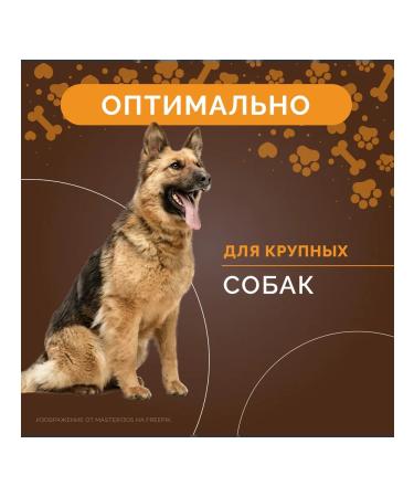 DogDelight Dog delicacies fish cod of leather cod 100 g leather - Buy Online on GoSupps.com