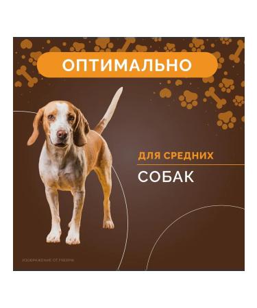 DogDelight Dog delicacies fish cod of leather cod 100 g leather - Buy Online on GoSupps.com