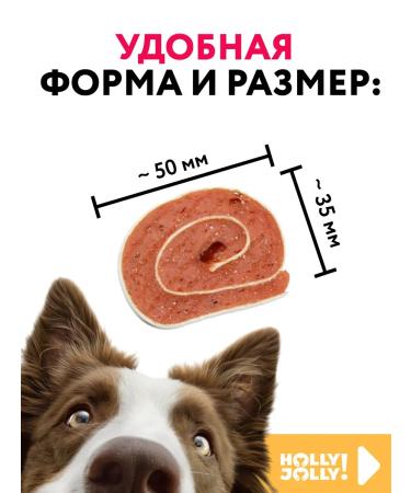 Holly Jolly A treat for dogs of sushi from duck 500g - Buy Online on GoSupps.com