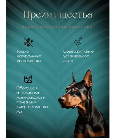 Livera Adult dog food 3.5 kg - Buy Online on GoSupps.com