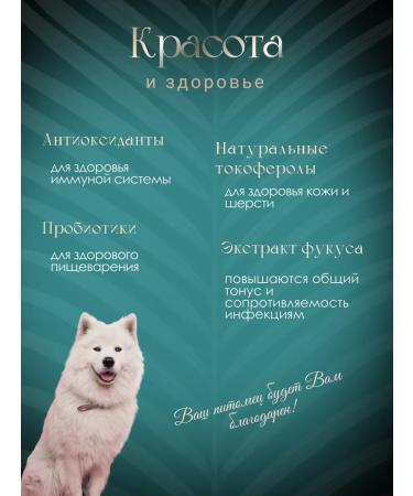 Livera Adult dog food 3.5 kg - Buy Online on GoSupps.com