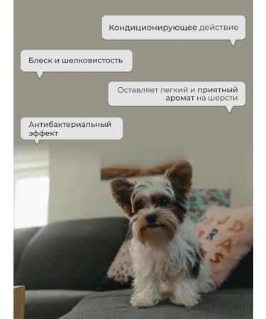 DOGIGO Jorkshire terrier - Buy Online on GoSupps.com