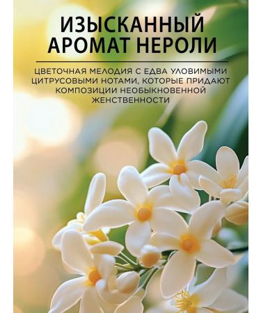 POGONIA Serum intensively rejuvenating with bakuchiol 20 ml - Buy Online on GoSupps.com