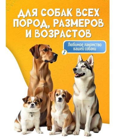 Vitamin additive for dogs vegetable mix Ground 500 grams - Buy Online on GoSupps.com