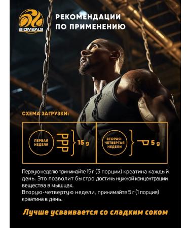 Powder creatine monohydrate 500g - Buy Online on GoSupps.com