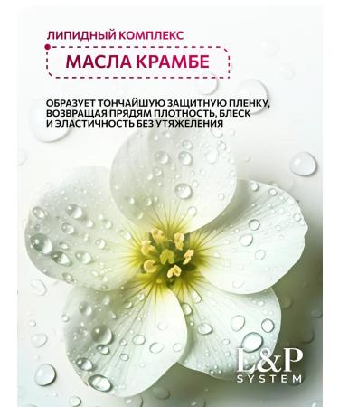 Ollin Professional Lipid hair mask OLLIN 500 ml - Buy Online on GoSupps.com