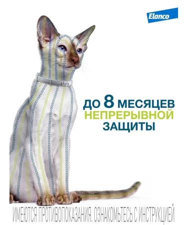 Elanco Forest a collar from fleas and ticks for cats 38 cm - Buy Online on GoSupps.com