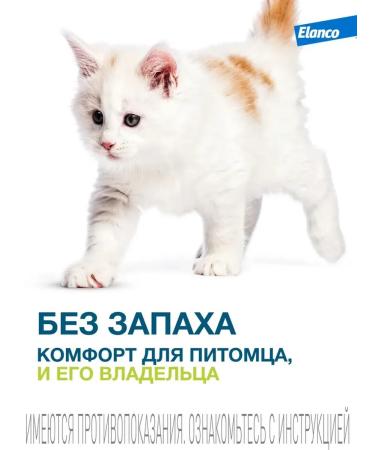 Elanco Forest a collar from fleas and ticks for cats 38 cm - Buy Online on GoSupps.com