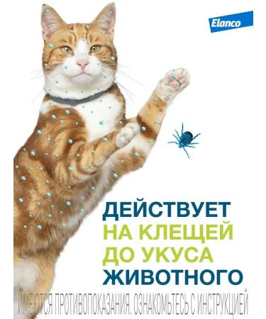 Elanco Forest a collar from fleas and ticks for cats 38 cm - Buy Online on GoSupps.com