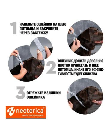 Rolf Club 3D RC 3D collar from fleas and ticks for large dogs (75cm) - Buy Online on GoSupps.com