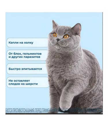 KRKA Sealess 45mg Drops for cats weighing 2.6 kg to 7.5 kg - Buy Online on GoSupps.com