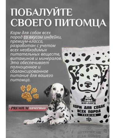 My lord Dry food for dogs premium with turkey 10 kg - Buy Online on GoSupps.com