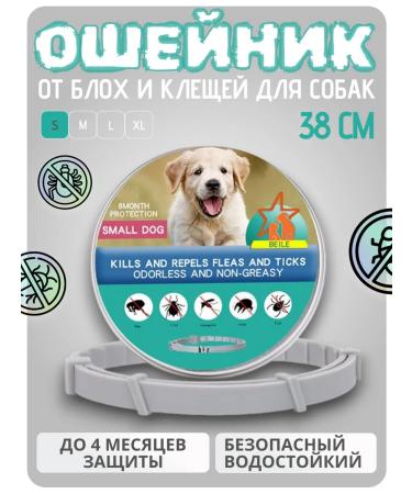 A collar from fleas and ticks for dogs 38 cm