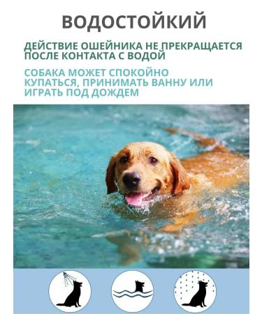 A collar from fleas and ticks for dogs 38 cm - Buy Online on GoSupps.com