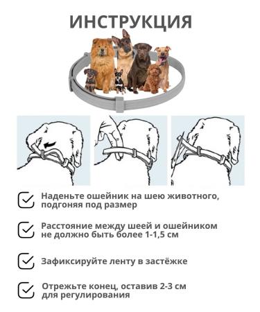 A collar from fleas and ticks for dogs 38 cm - Buy Online on GoSupps.com
