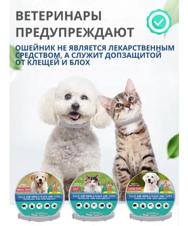 A collar from fleas and ticks for dogs 38 cm - Buy Online on GoSupps.com