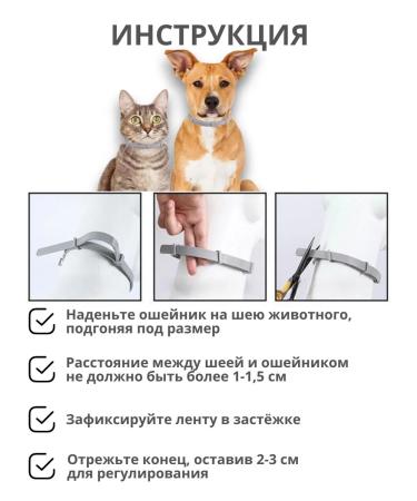 A collar from fleas and ticks for cats 38 cm - Buy Online on GoSupps.com