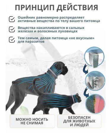 A collar from fleas and ticks for cats 38 cm - Buy Online on GoSupps.com