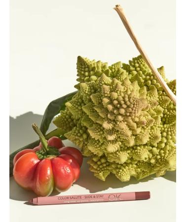 OK Beauty Lip pencil Persistent brown nude Millenium - Buy Online on GoSupps.com