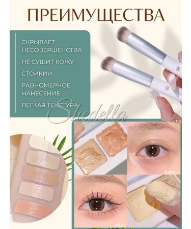 Shedella Classler for face palette correlators 5 in 1 - Buy Online on GoSupps.com