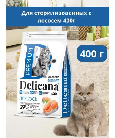 Delicana Dry food for cats 400 grams with salmon