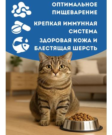 Delicana Dry food for cats 400 grams with salmon - Buy Online on GoSupps.com