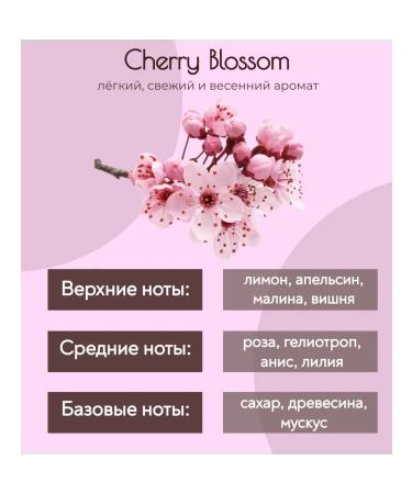 Kundal Hair shampoo Cherry Flower Honey & Macadamia - Buy Online on GoSupps.com