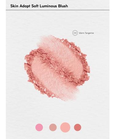 Monica Beauty Bloody powder Skin Adapt tone # 03 Warm Tangerine - Buy Online on GoSupps.com