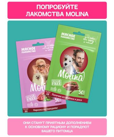 MOLINA Dry food for puppies with turkey and veal 2 kg - Buy Online on GoSupps.com