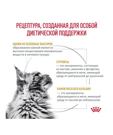 ROYAL CANIN Urinary S O for cats with urolithiasis 1.5 kg - Buy Online on GoSupps.com