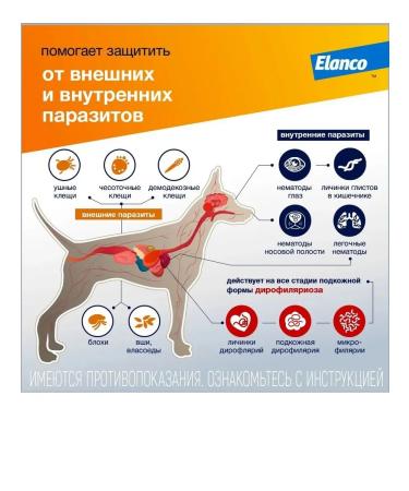 Bayer Antiparasitar for dogs of more than 25 kg of 3 -pipetics*4ml - Buy Online on GoSupps.com