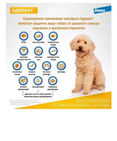 Bayer Antiparasitar for dogs 10-25 kg of 3-pipetes*2.5ml - Buy Online on GoSupps.com