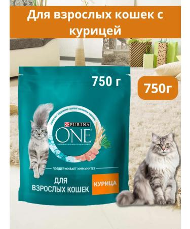 PURINA ONE Dry food with chicken 750 g
