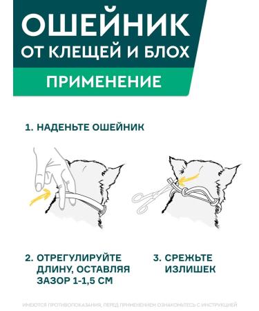 AVZ Barce collar of dogs large. 80cm - Buy Online on GoSupps.com