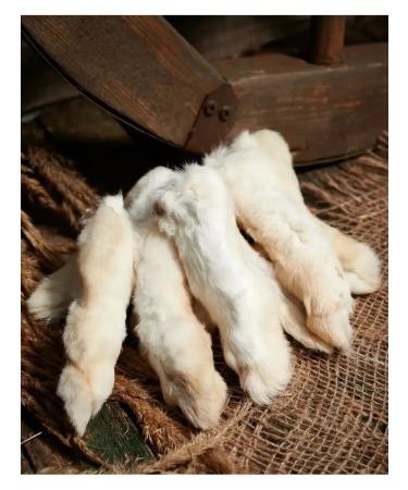 ECO-drying Village delicious rabbit paws edible toy - Buy Online on GoSupps.com